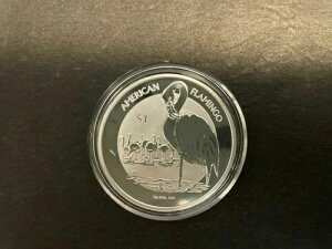 2021�N �C�M���X�̃��@�[�W������ 1�I���X �A�����J���t���~���S�n�����