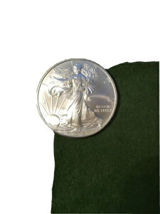 2009NčVo[C[O1IXUNC݁iCJvZj