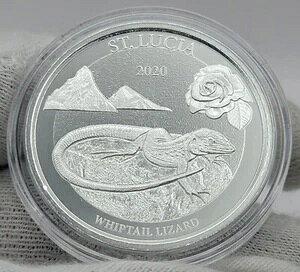 2020N ZgVA EBbve[ U[h 1IX .999 
