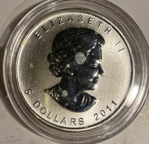 2011N 1IX Ji_ [v[t݁iJvZj