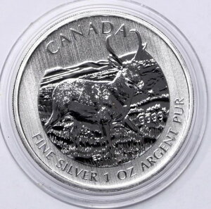 2013N 1IX .999 Vo[RC Ji_ ChCt vOz[ Ae[v # 0887