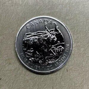 2013N Ji_ ChCtV[Y Ae[v 1IX .9999 Vo[ uAg 