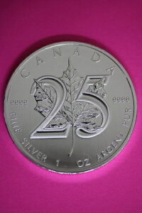 Gem BU 2013 Ji_h 5h 1IX Vo[ [v[t RCiʐ^j CAF07