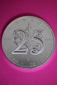 Gem BU 2013 Ji_h 5h 1IX Vo[ [v[t RCiʐ^jCAF04