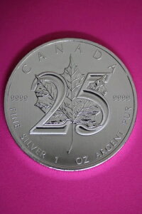 Gem BU 2013 Ji_h 5h 1IX Vo[ [v[t RCiʐ^j CAF06