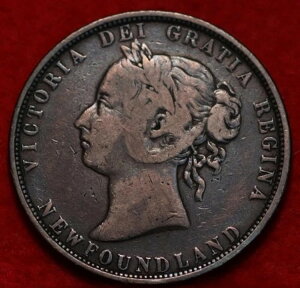 1882-H ���B�N�g���A���� 50�Z���g �j���[�t�@���h�����h ���