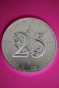 Gem BU 2013 Ji_h 5h 1IX Vo[ [v[t RCiʐ^j CAF14