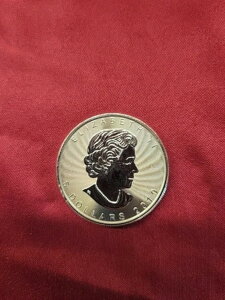 2019�N�J�i�_5�h���d�݁A�G���U�x�X2�������ё�