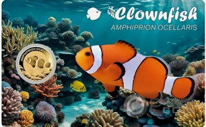 JNN}m~ 1/1000IX  3000t `h 2024