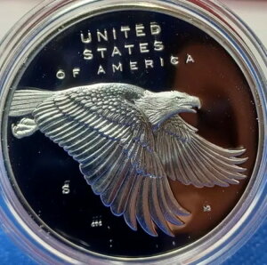 2017N AJORM TtVXREv[tdグ