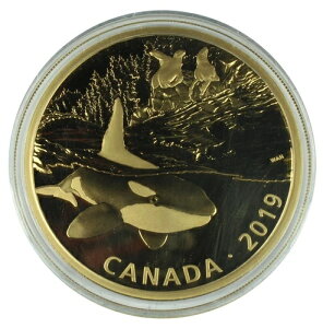 �J�i�_ 2019�N 30�h�� ����� .9999 �����̔��ˁF�ߐH�҂Ɗl��