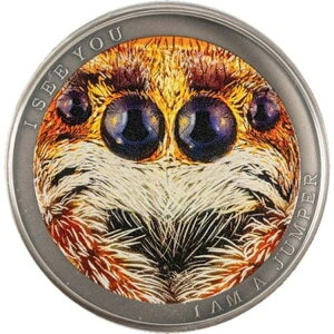 2022N 1/2IX AeB[N J[CY jEG Vo[ ChAtJV[Y WsOXpC_[RC