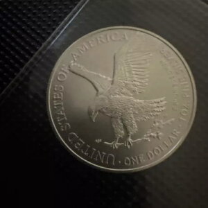 2022-W 1ドル イーグル銀貨 バーニッシュドブリリアント 未流通 1オンス コイン OGP付き
