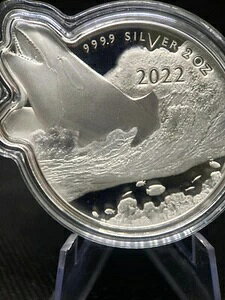 2022�N �\���������� �C�m�ߐH�� - �V���` 2�I���X �V���o�[ �v���[�t�R�C�� PAMP