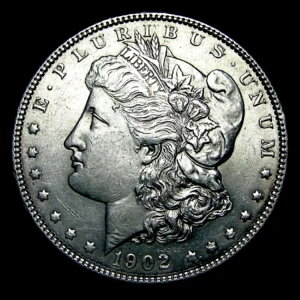 1902�N �����K���E�_���[��� ---- ���ڍ׃R�C�� ---- #649W