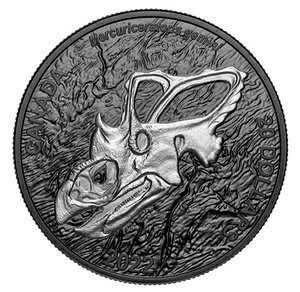 2022NJi_1IX ̔F̊p̂