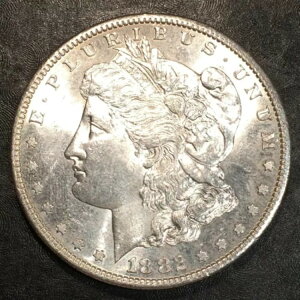 1882-S ���[�K����� - ������̃R�C����\�� - ���掿�X�L���� #o779