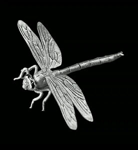 �J�����[�� 3D �g���{ 7�O���� �V���o�[ �v���[�t�R�C�� 2024�N 333������