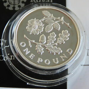 �p�� 2013 �C���O�����h �t���[���� 1�|���h �s�G�t�H�[�g �V���o�[ �v���[�t - �R�C��