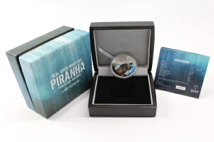 2013N jEG 2h Ao[X^[ sjA 1IX v[t