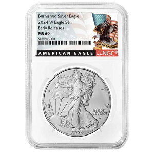 2024-W o[jbVdグ 1h AJ Vo[ C[O NGC MS69 ER ubNx
