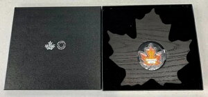 2016NJi_ 20h  Jtȃ[v[t^RC