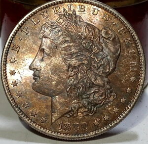 1880�N S ���[�K����� VAM 1 ���[�W S �W�F�� BU �����X�^�[ �g�[�j���O ��ɐ�