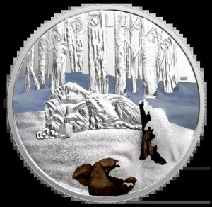 1IXJ[RC - PkFkɃIIJ~ - (2017)