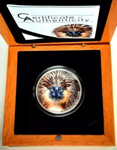 2019�N �N�b�N���� 1�I���X �V���o�[ �}�O�j�t�B�Z���g���C�t�i�t�B���s���C�[�O���j�{�b�N�X��COA