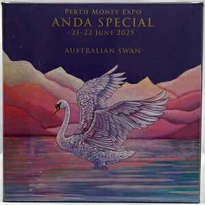 2025N Vo[ 1IX v[tRC p[X ANDA }l[GLX| X