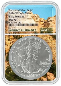 2024 W 1IX o[jbVh Vo[ C[O NGC MS70 A[[[X bVA RA