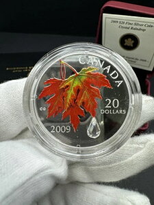 2009NJi_h 20.999h v[t - Ԃ[v[tɉJ`ꂽNX^