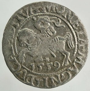 1559 ���g�A�j�A/�|�[�����h �n�[�t �O���b�V�F����� |�t�@�C���R���N�^�u���O���[�h