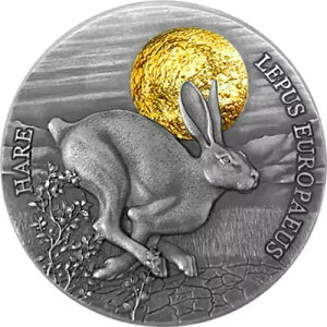 K[i 2ZfB 2021N ̖̒ETM̖쐶 AeB[Ndグ 