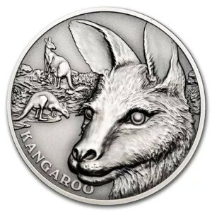 2021NjEG1IXVo[AeB[N쐶N[YAbvFJK[