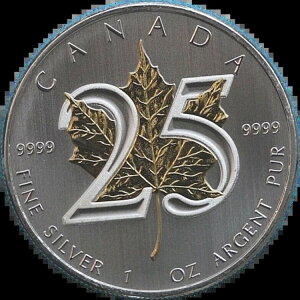 2013N Ji_[v[t XyVGfBV 25NLO bL[t $5 Co