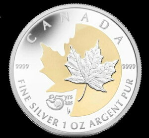  1IX  Vo[[v[t25NLO 2013N