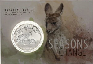 I[XgA 1h 2017N JK[ 1IX Vo[ Ӓ菑 119538-