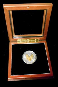 1999N Vo[C[O 24bL KXVEؐg̃fBXvCP[X