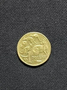 2000N I[XgA 1hDir̂JK[jrȂ