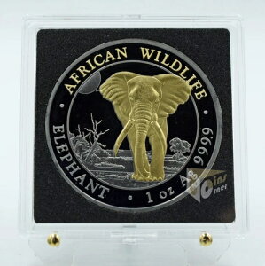 \}A 2025 Gt@g S[f GjO} GfBV 1IX Vo[RC