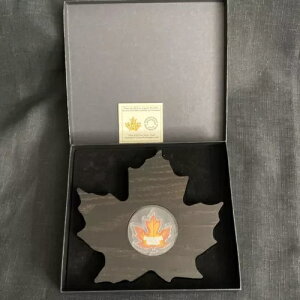 2016N 20h  - Ji_̃Jtȃ[v[t