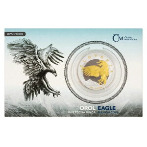 2024N jEG XoLA C[Ot 1IX  J[h