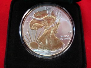 2011NAJVo[C[O1IX݁i24Kj