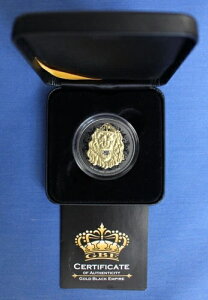 2020NjEG1IX݁uK郉CIv2hd݁uubNGpCAGfBVvP[X/COAt