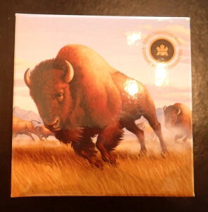 2013N 100hzʃJi_ݕ - oC\EX^s[h COAt