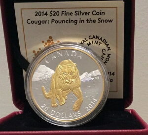 j[AŃN[K[Xm[ bL 20h 2014N 1IX v[tRC Ji_