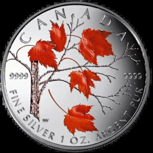 ???? Ji_ 5h ݁i99.99%jbh[v[tA~A2004N