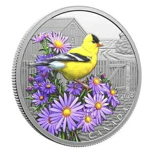 AJS[htB` 2024 Ji_ 1IX .9999  20hRC V[Y4