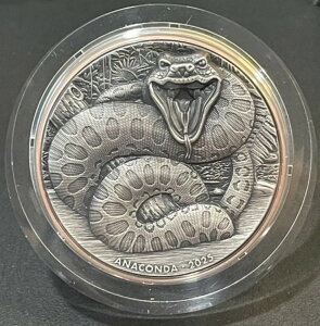 2025 10g �� 145g �� �o�k�A�c �_�u���V���o�[ ����A�i�R���_�ߐH�҃R�C��